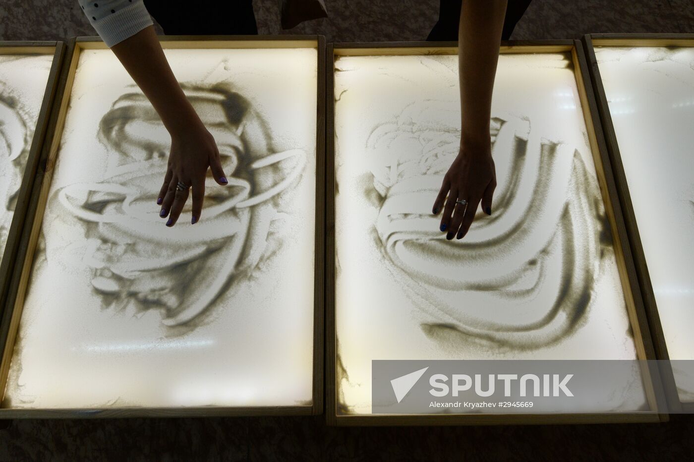 Novosibirsk Science Festival