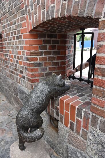 Cities of Russia. Kaliningrad