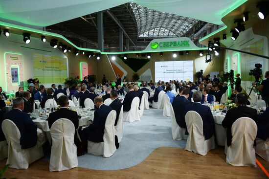 Sochi International Investment Forum 2016