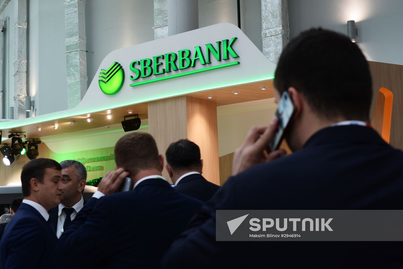 Sochi International Investment Forum 2016