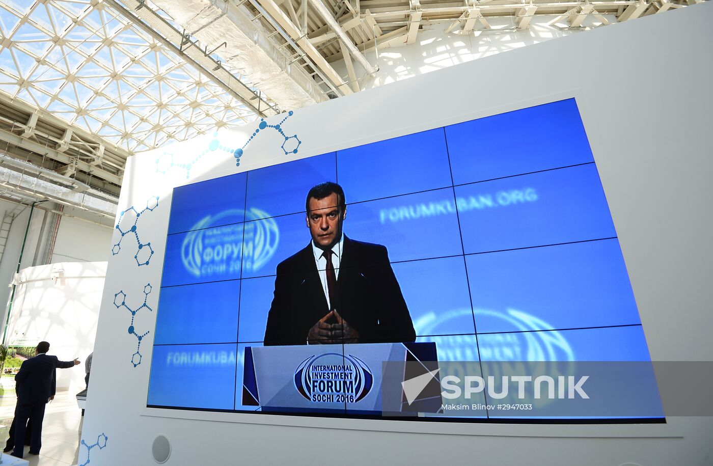 Sochi International Investment Forum 2016