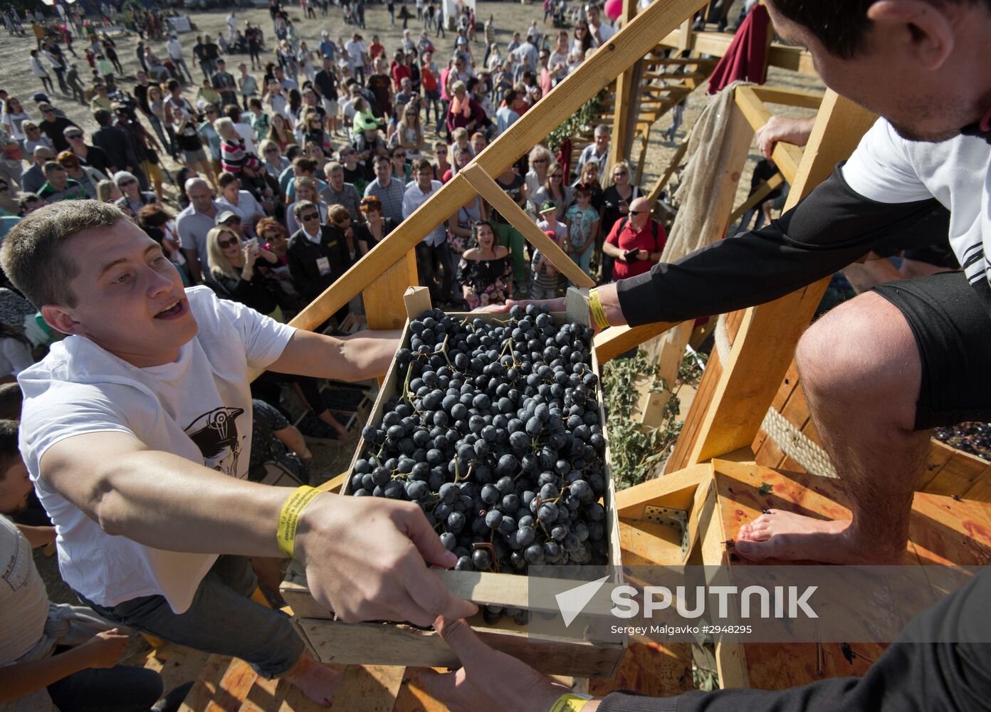 Wine Fest in Balaklava