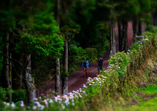 Sao Miguel Island