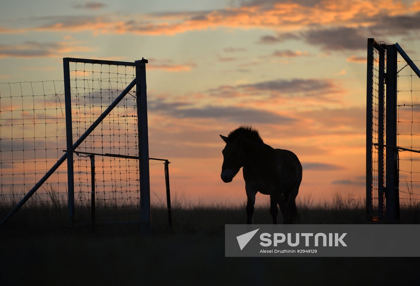 President Vladimitr Putin visits Orenburg Region