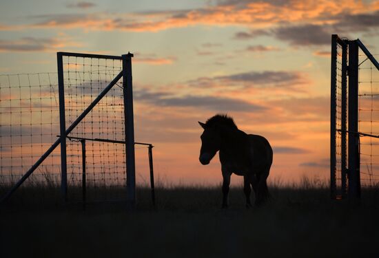President Vladimitr Putin visits Orenburg Region