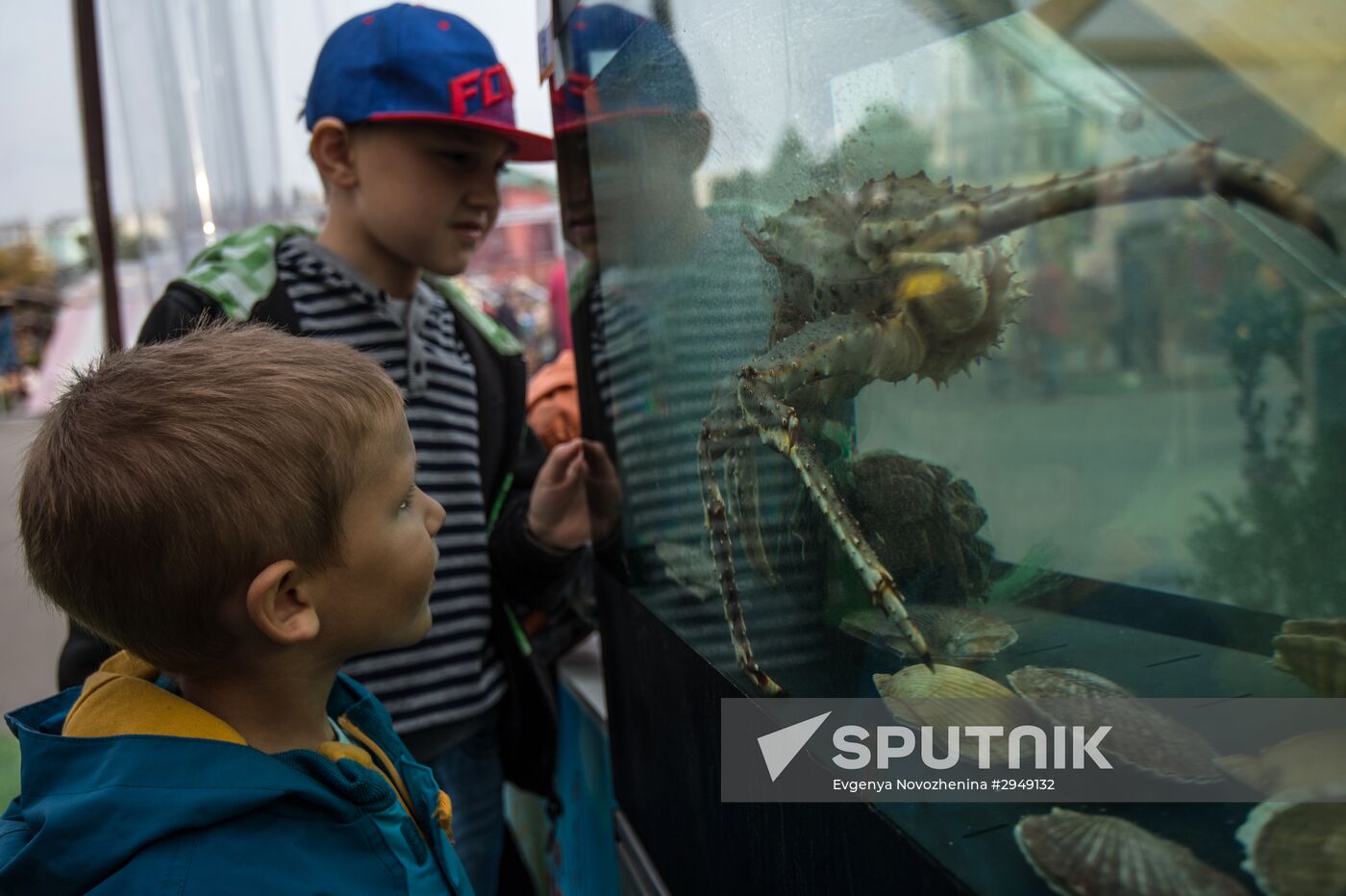 Fish Week at Golden Fall festival