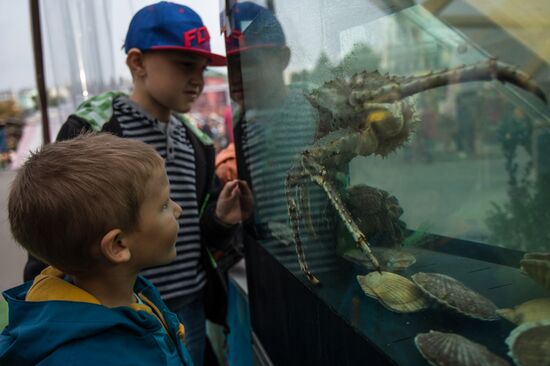 Fish Week at Golden Fall festival