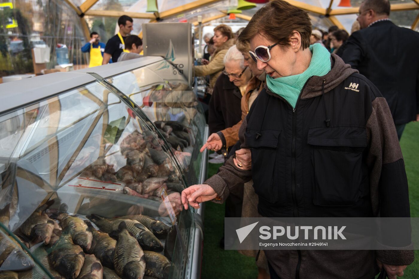 Fish Week at teh Golden Fall festival