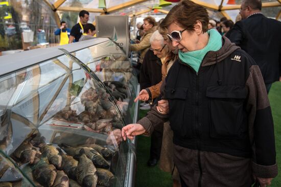 Fish Week at teh Golden Fall festival