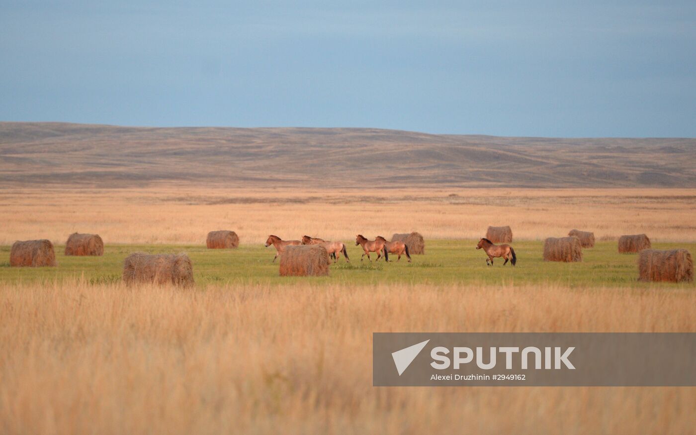 President Vladimitr Putin visits Orenburg Region