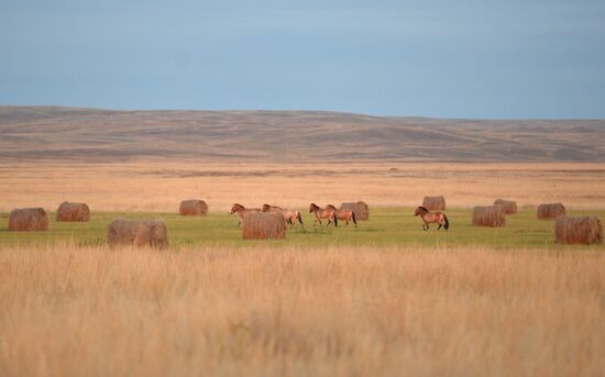 President Vladimitr Putin visits Orenburg Region