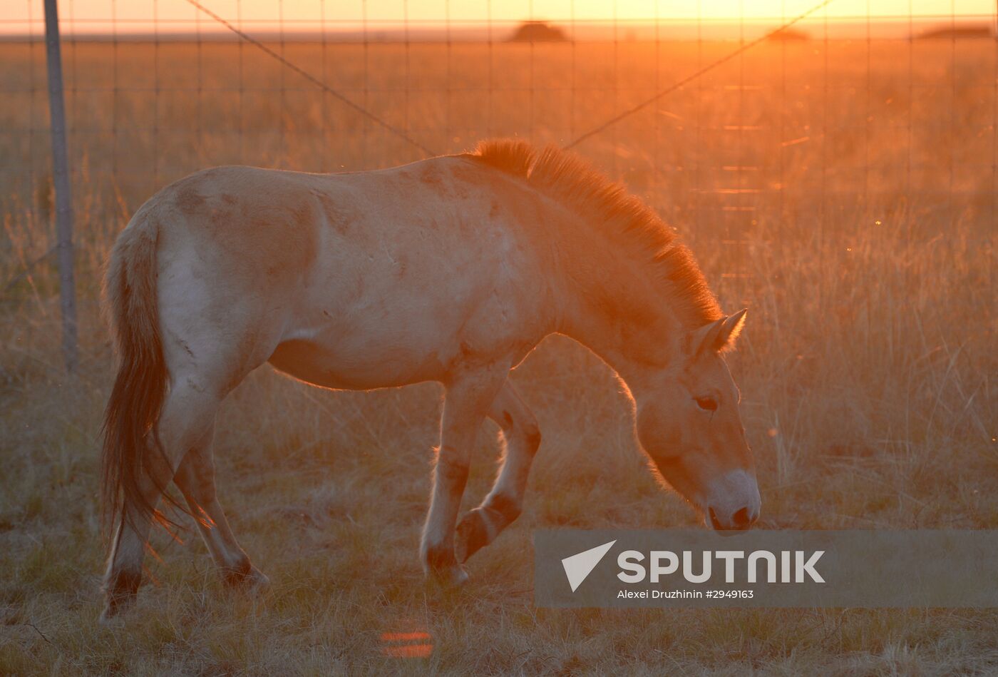 President Vladimitr Putin visits Orenburg Region