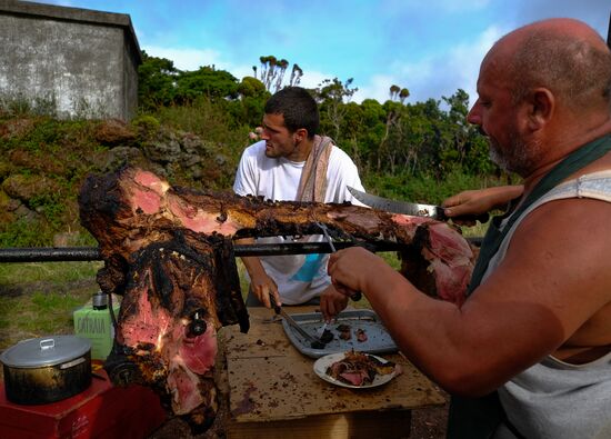 Bull fight on Pico Island