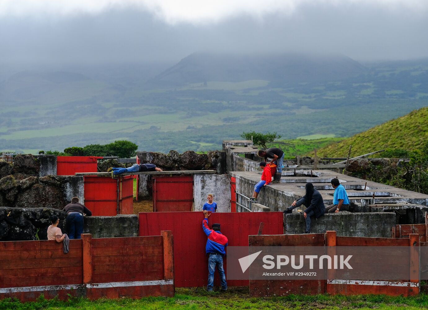 Bull fight on Pico Island