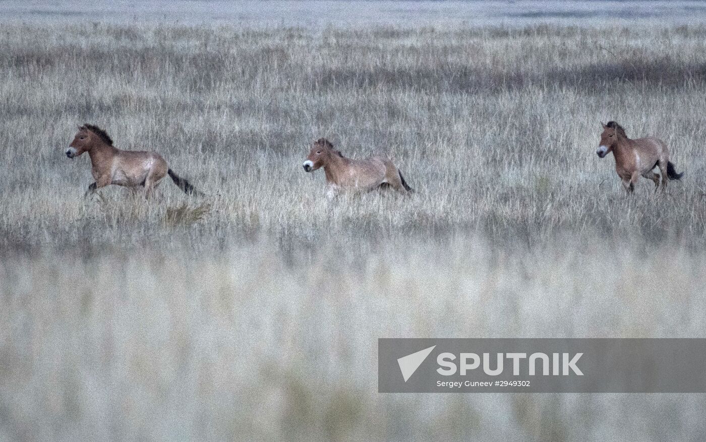 President Putin visits Orenburg Region