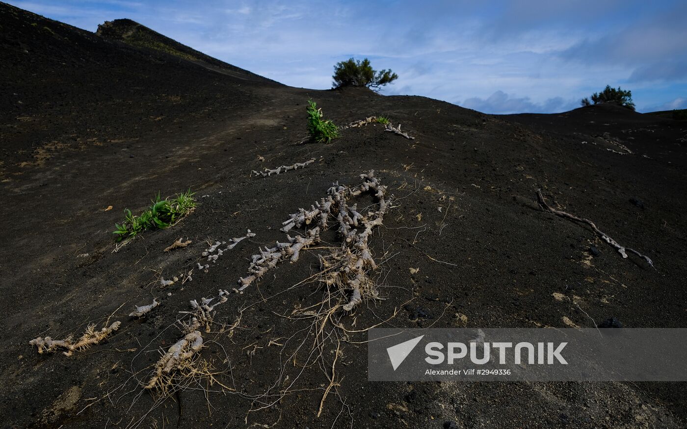 Faial Island