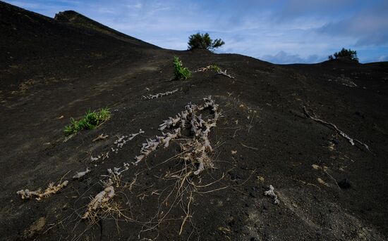 Faial Island