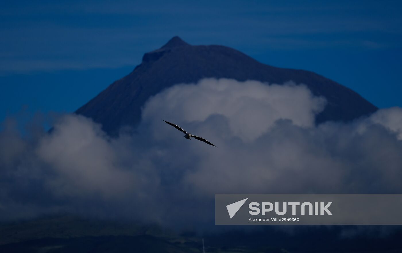 Faial Island