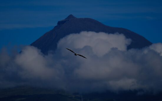 Faial Island