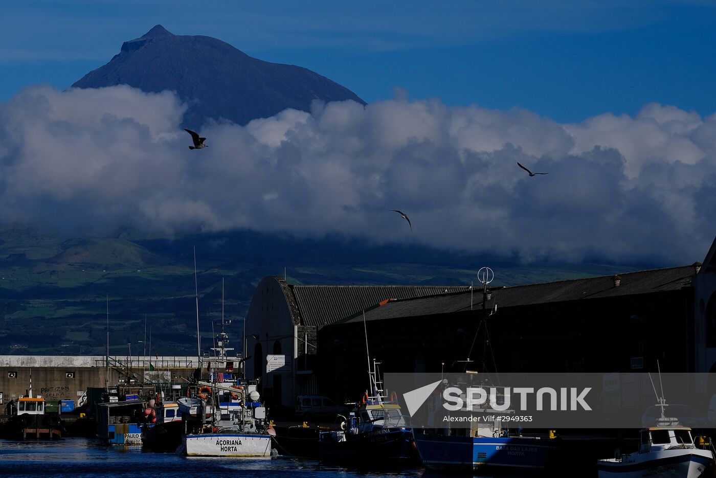 Faial Island