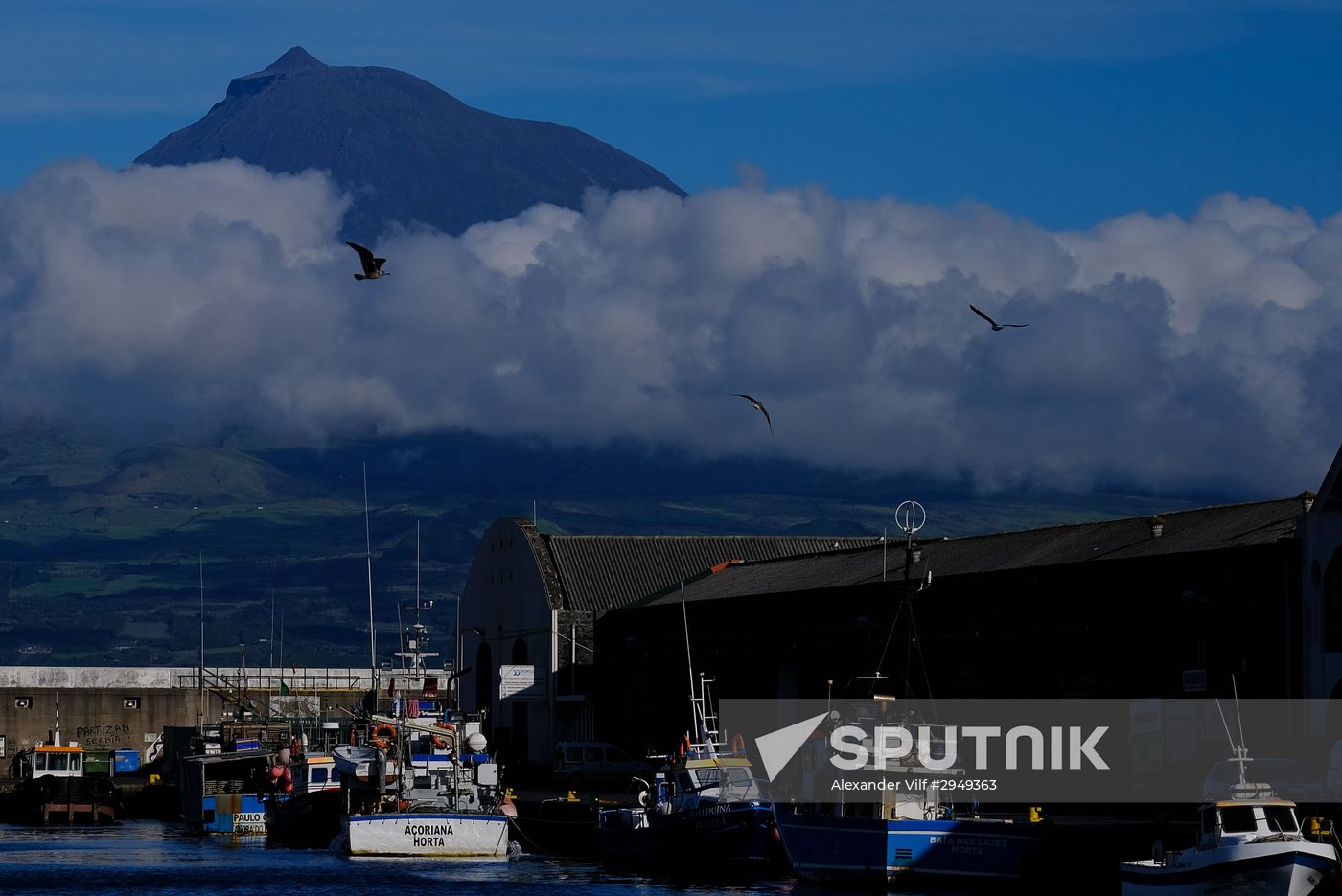 Faial Island