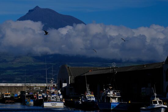 Faial Island