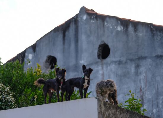 Faial Island
