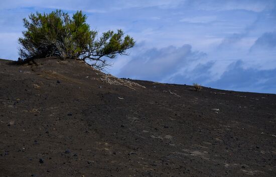 Faial Island