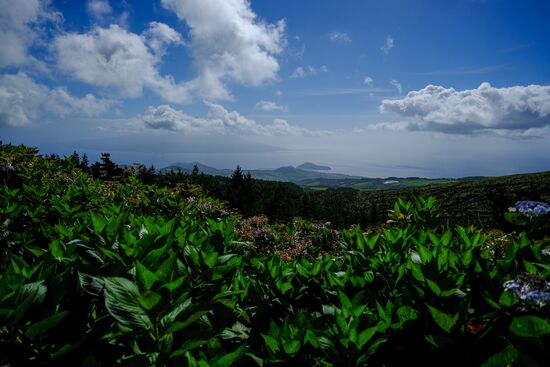 Faial Island
