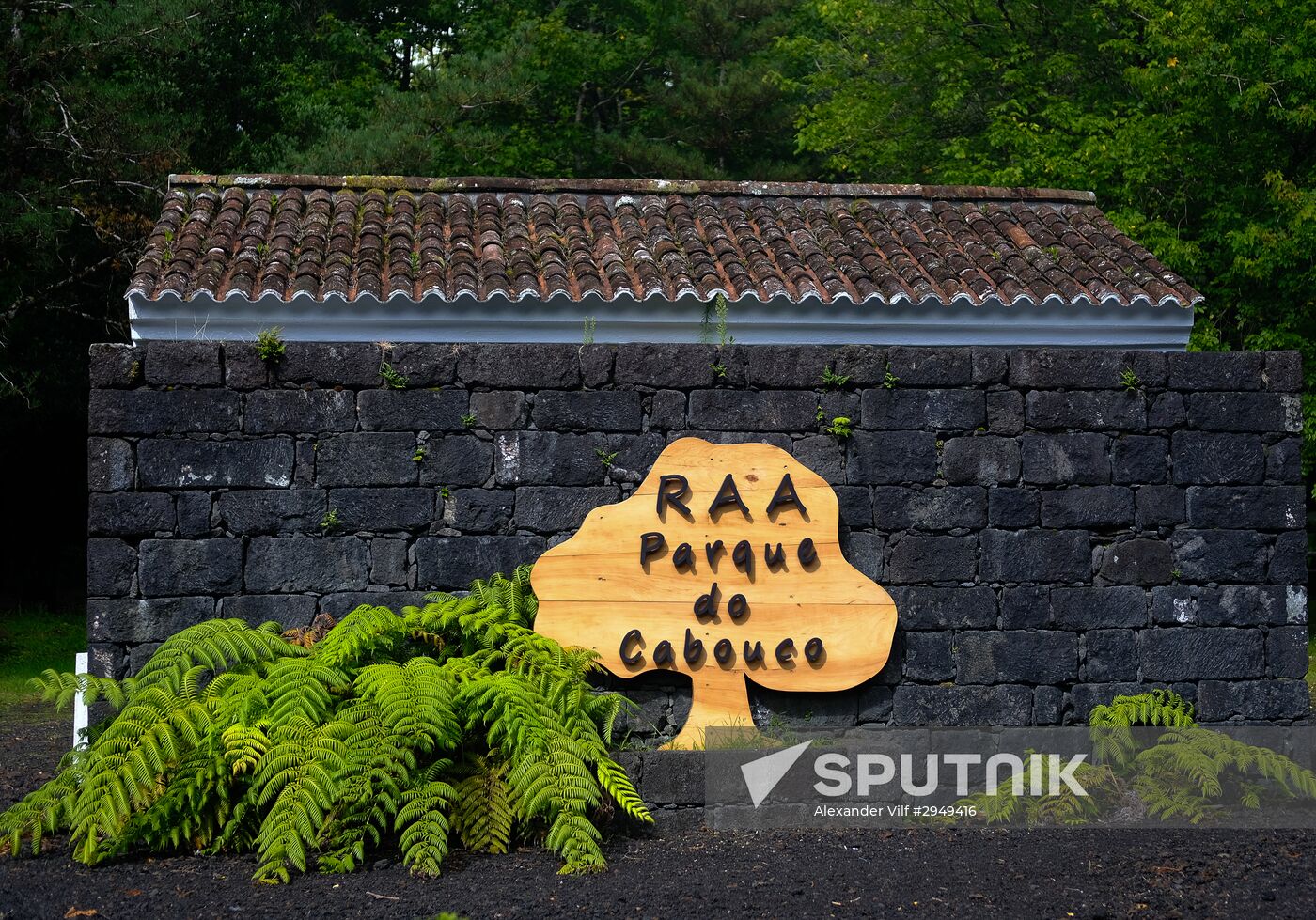Faial Island
