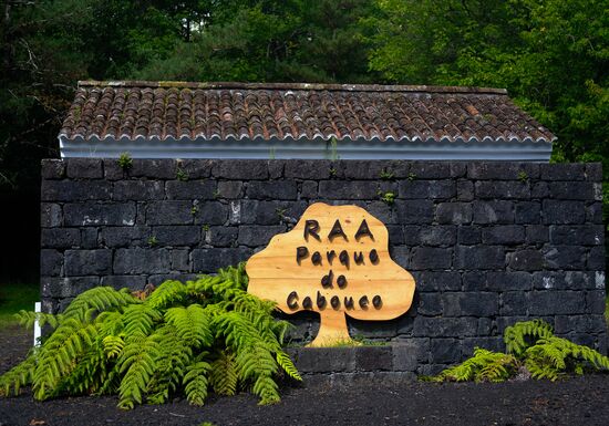 Faial Island