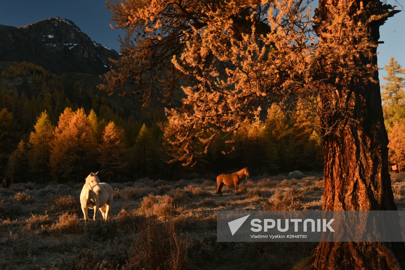 Autumn in the Altai Republic