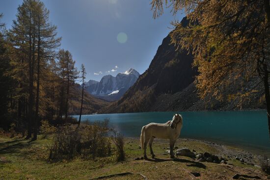 Autumn in the Altai Republic