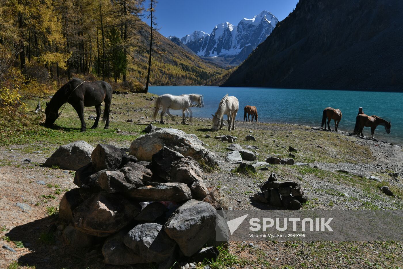 Autumn in the Altai Republic