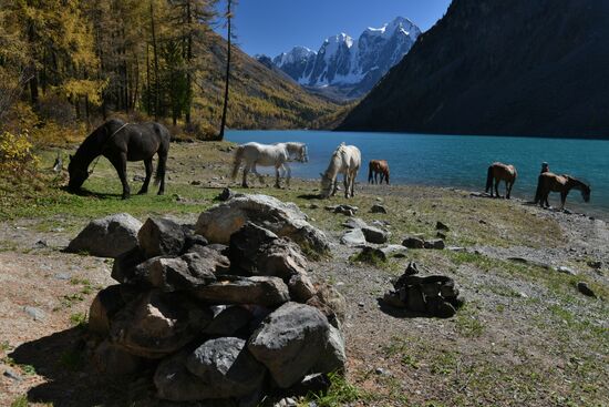 Autumn in the Altai Republic
