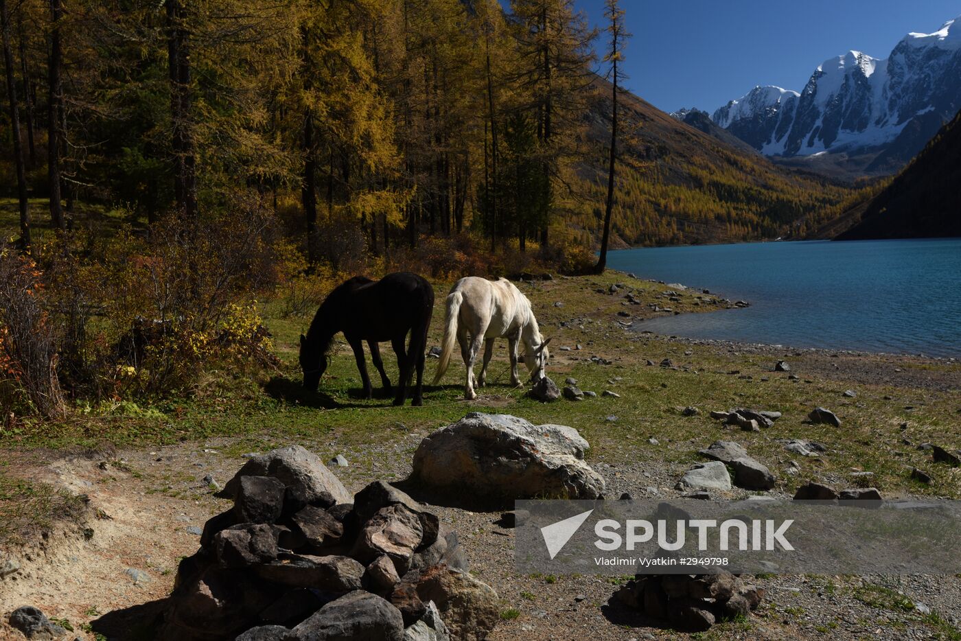 Autumn in the Altai Republic