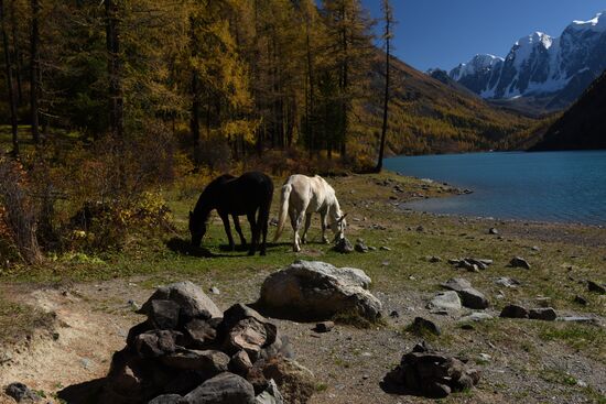Autumn in the Altai Republic