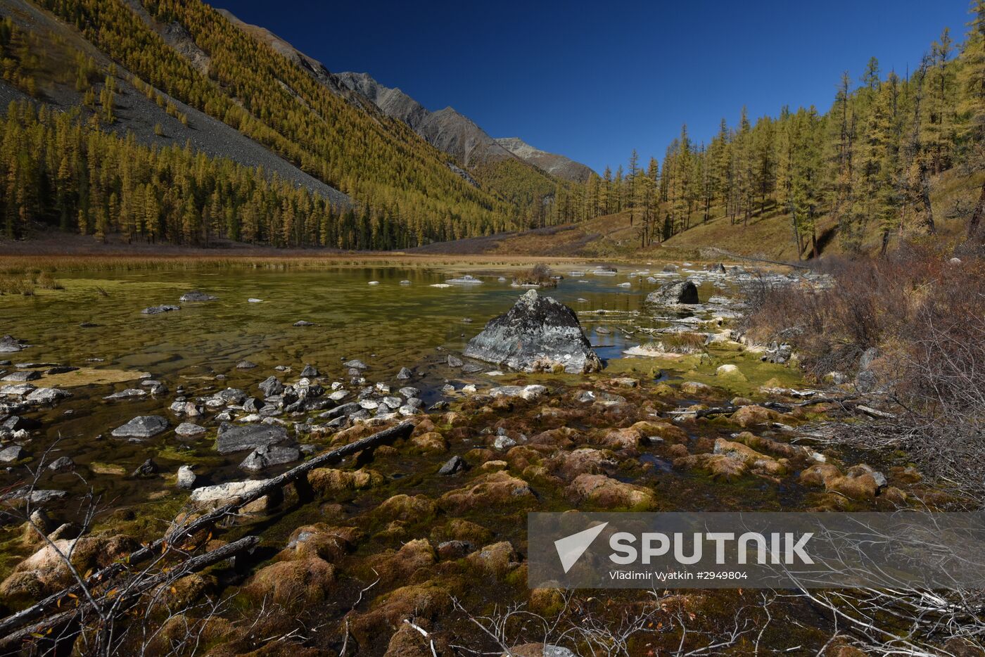 Autumn in the Altai Republic