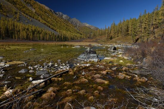 Autumn in the Altai Republic
