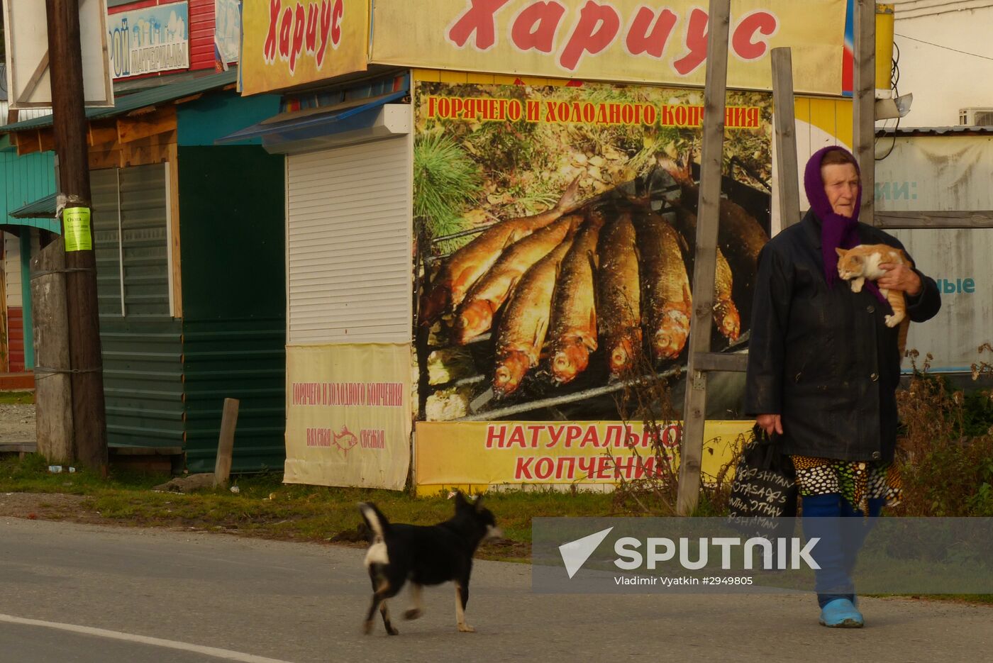 Autumn in the Altai Republic