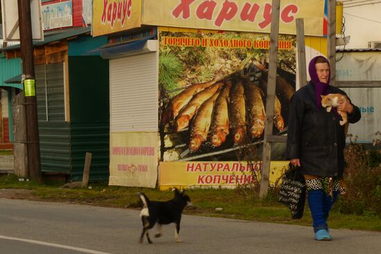 Autumn in the Altai Republic