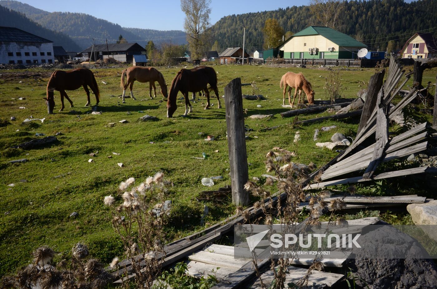 Autumn in the Altai Republic