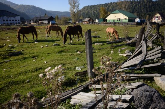 Autumn in the Altai Republic