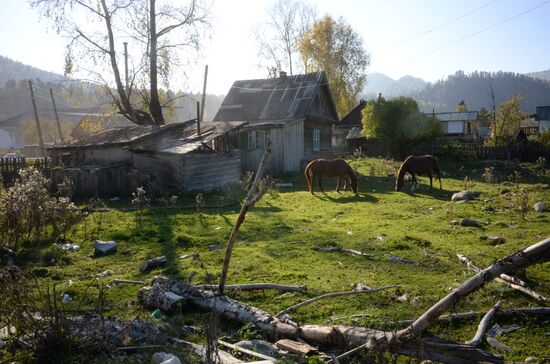 Autumn in the Altai Republic