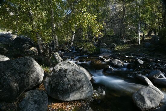 Autumn in the Altai Republic