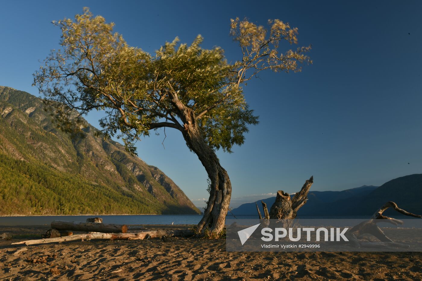 Autumn in the Altai Republic