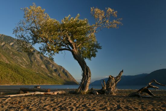 Autumn in the Altai Republic