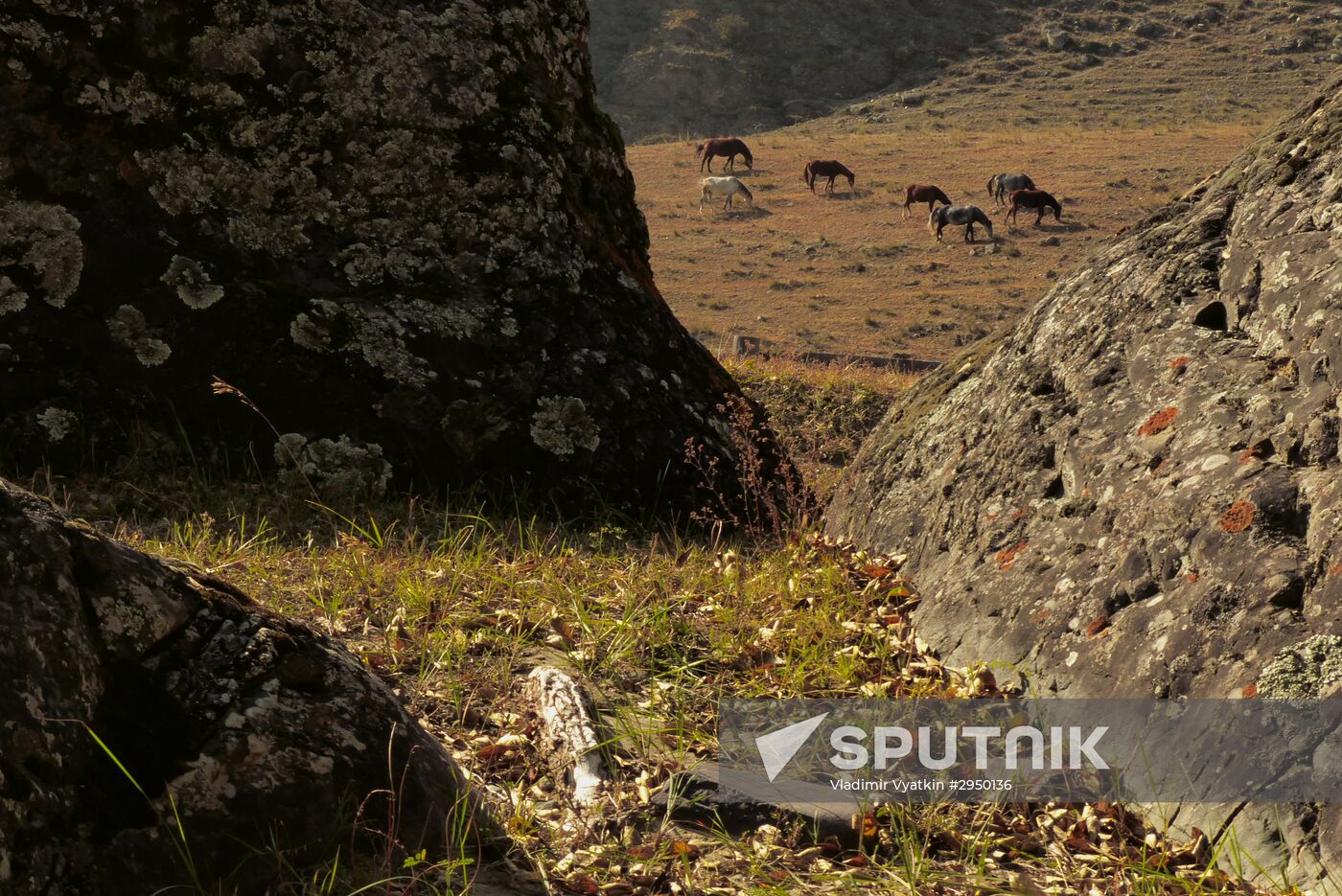 Autumn in the Altai Republic