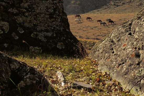 Autumn in the Altai Republic