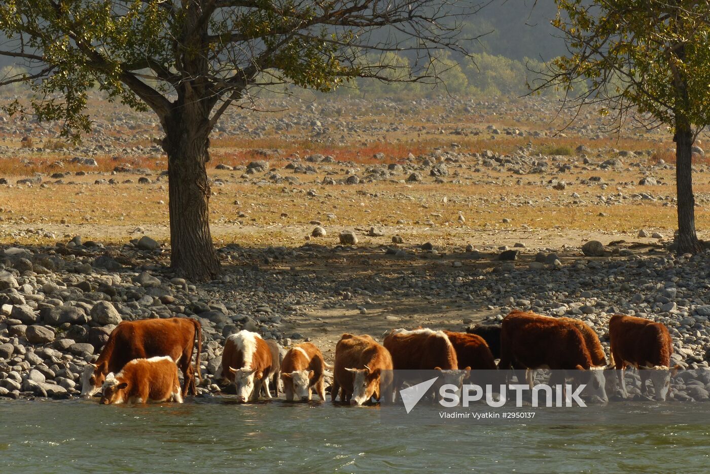 Autumn in the Altai Republic